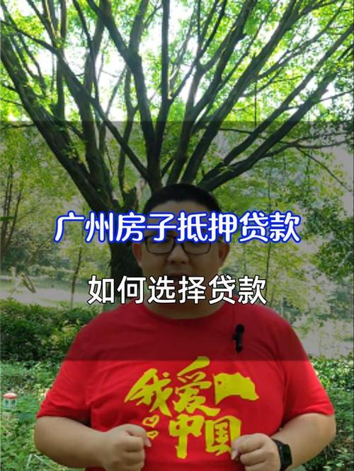 广州番禺房屋抵押贷款服务机构(广州番禺房地产交易中心)